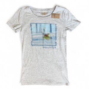 Hollister T Shirt Size Small 3d Design Surfboard Grey Short Sleeve Cotton Women
